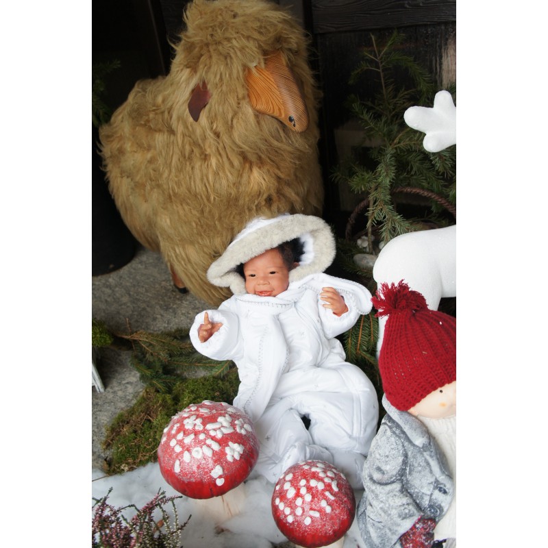 Camilo inkl. Bauchplatte