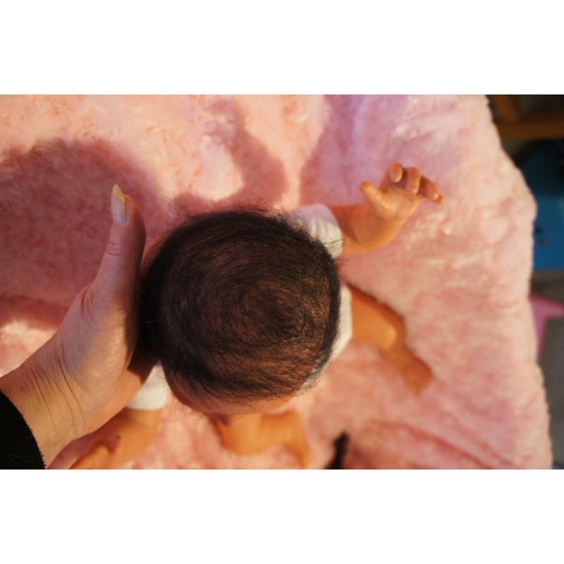 Fenna - inkl. Volltorso