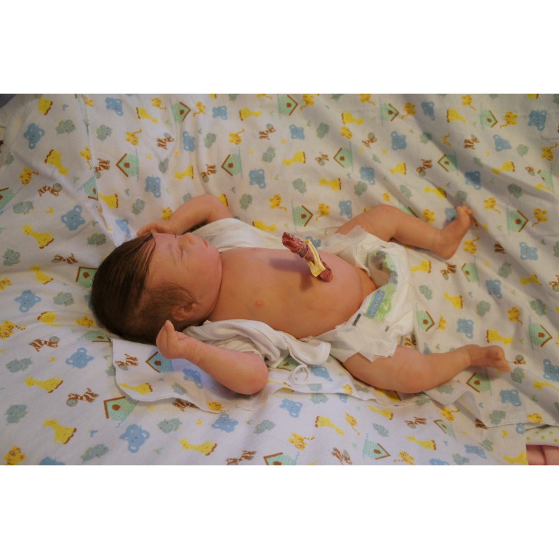 Laila *Inkl. Volltorso*