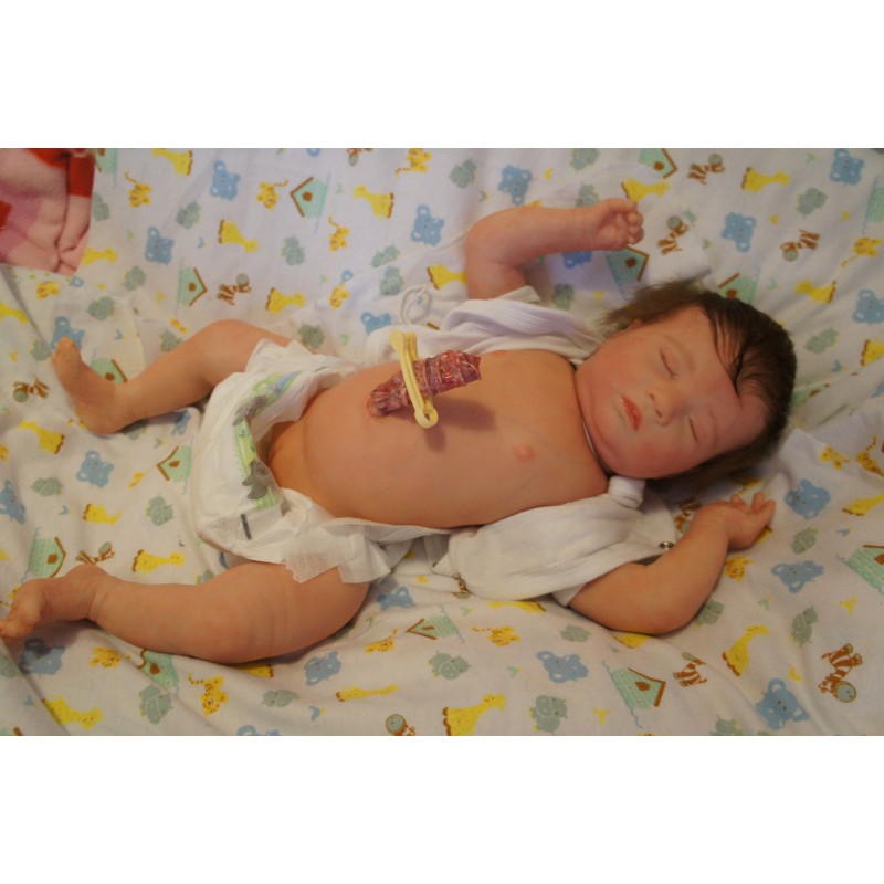 Laila *Inkl. Volltorso*