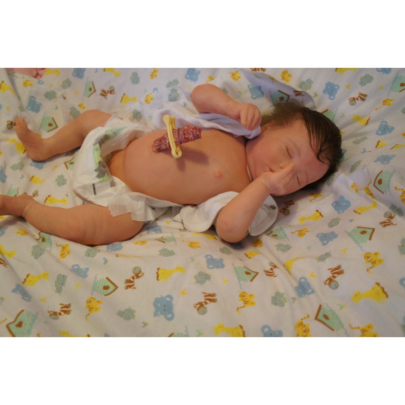 Laila *Inkl. Volltorso*