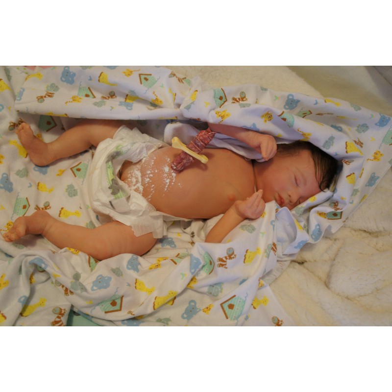 Laila *Inkl. Volltorso*