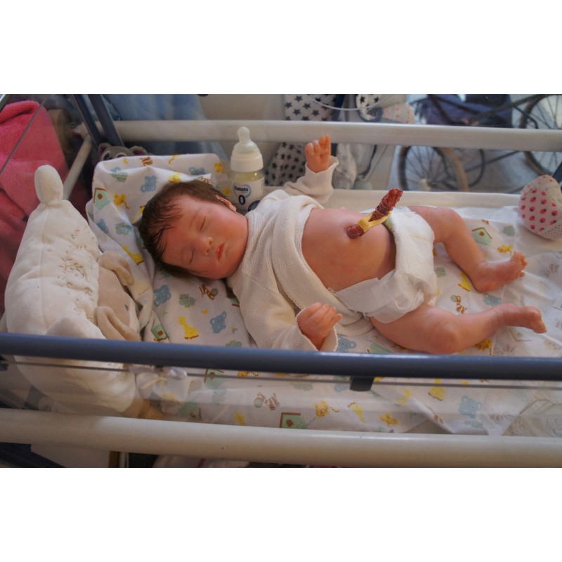 Laila *Inkl. Volltorso*