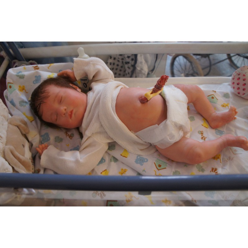 Laila *Inkl. Volltorso*