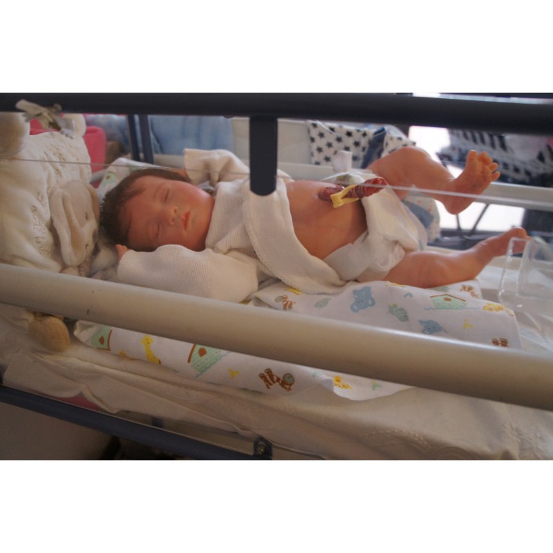 Laila *Inkl. Volltorso*