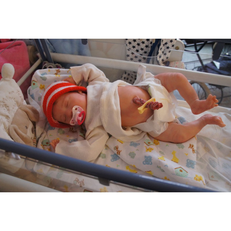 Laila *Inkl. Volltorso*