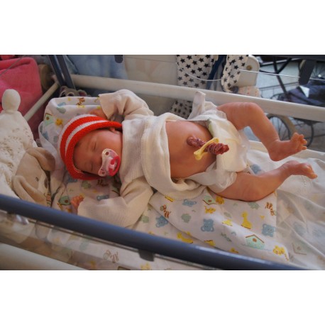 Laila *Inkl. Volltorso*