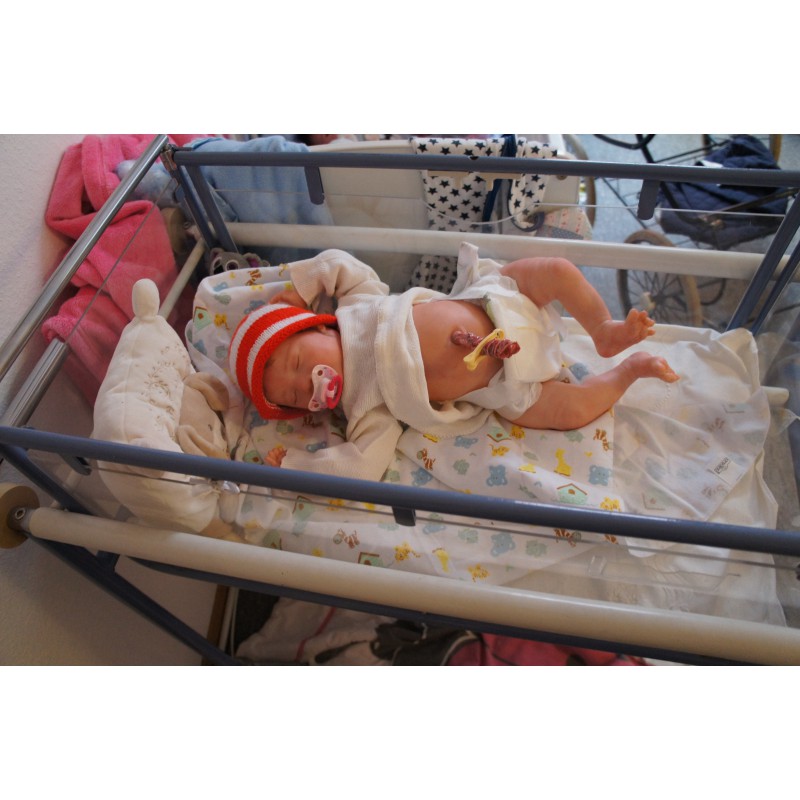 Laila *Inkl. Volltorso*