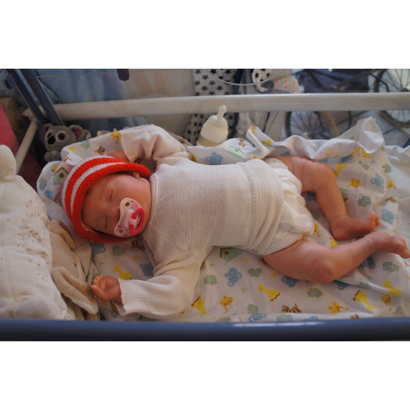 Laila *Inkl. Volltorso*