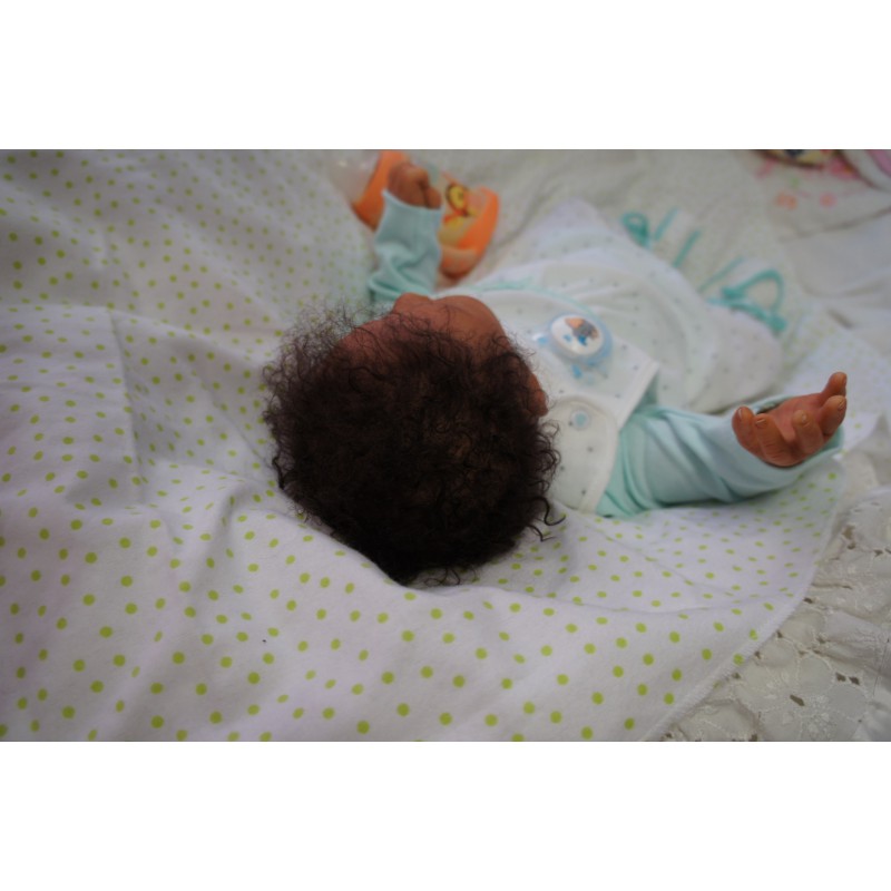 Penny *Einzelstück Inkl. Bauchplatte*