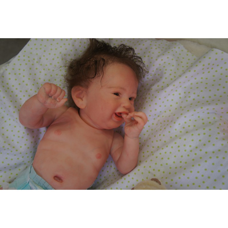 Rocky - Inkl. 3/4 Torso *Einzelstück*