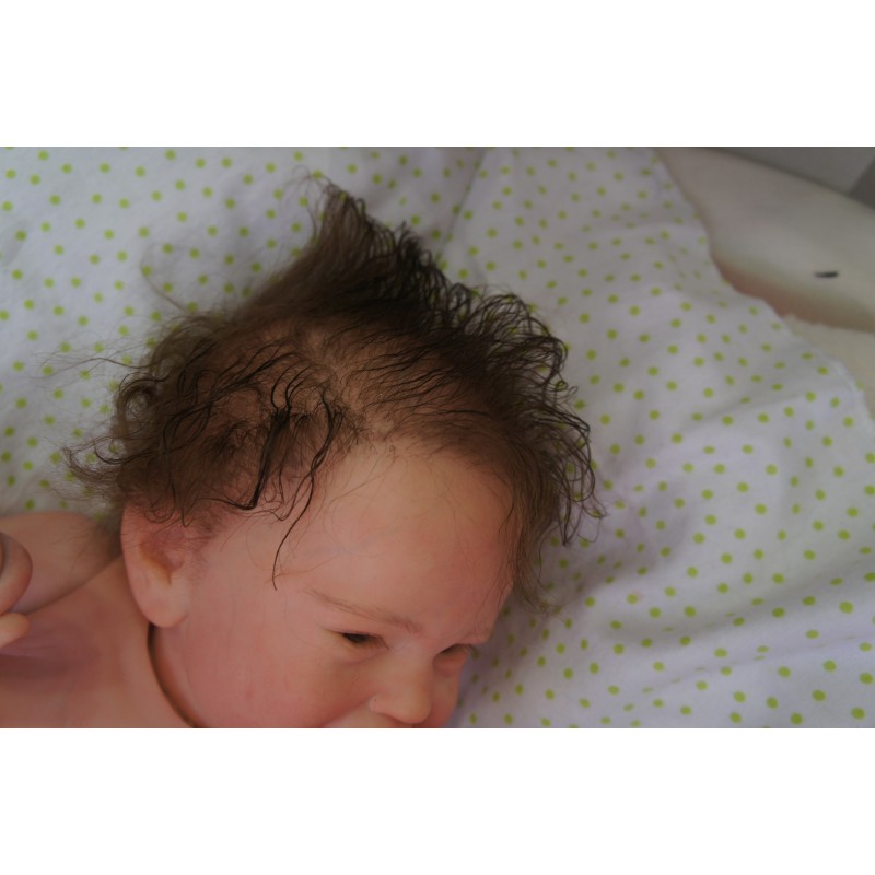 Rocky - Inkl. 3/4 Torso *Einzelstück*