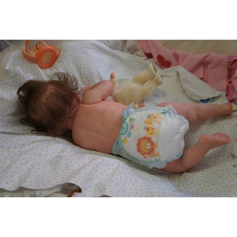 Rocky - Inkl. 3/4 Torso *Einzelstück*