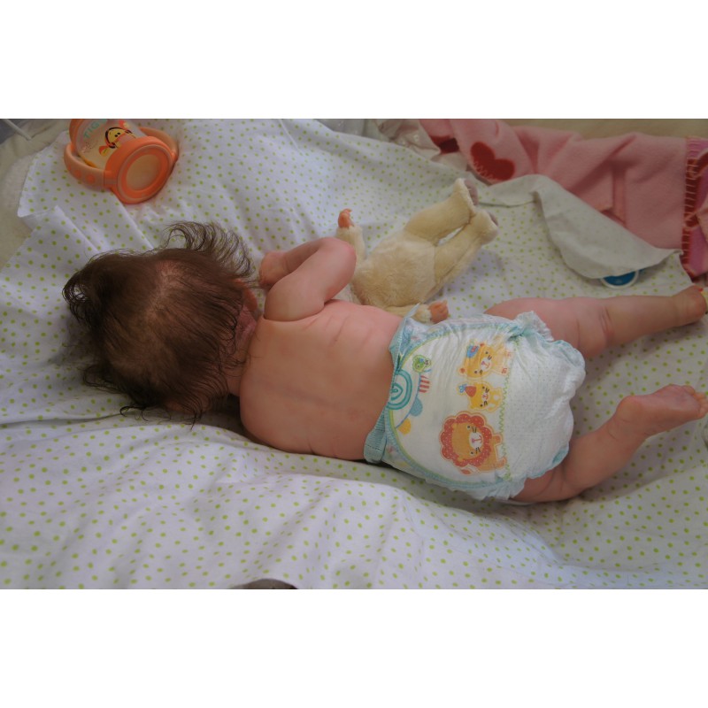 Rocky - Inkl. 3/4 Torso *Einzelstück*