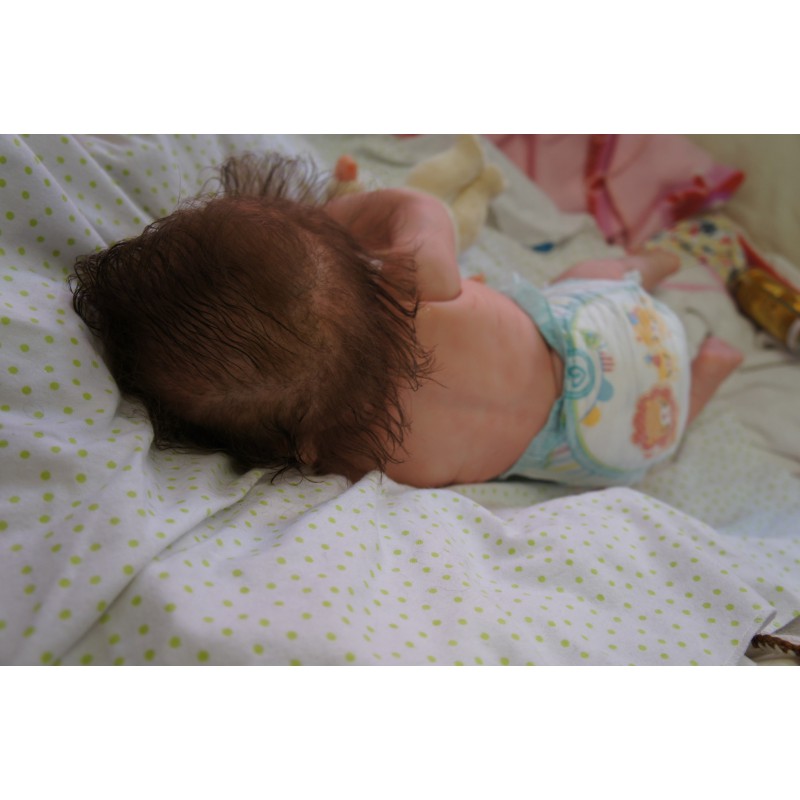 Rocky - Inkl. 3/4 Torso *Einzelstück*