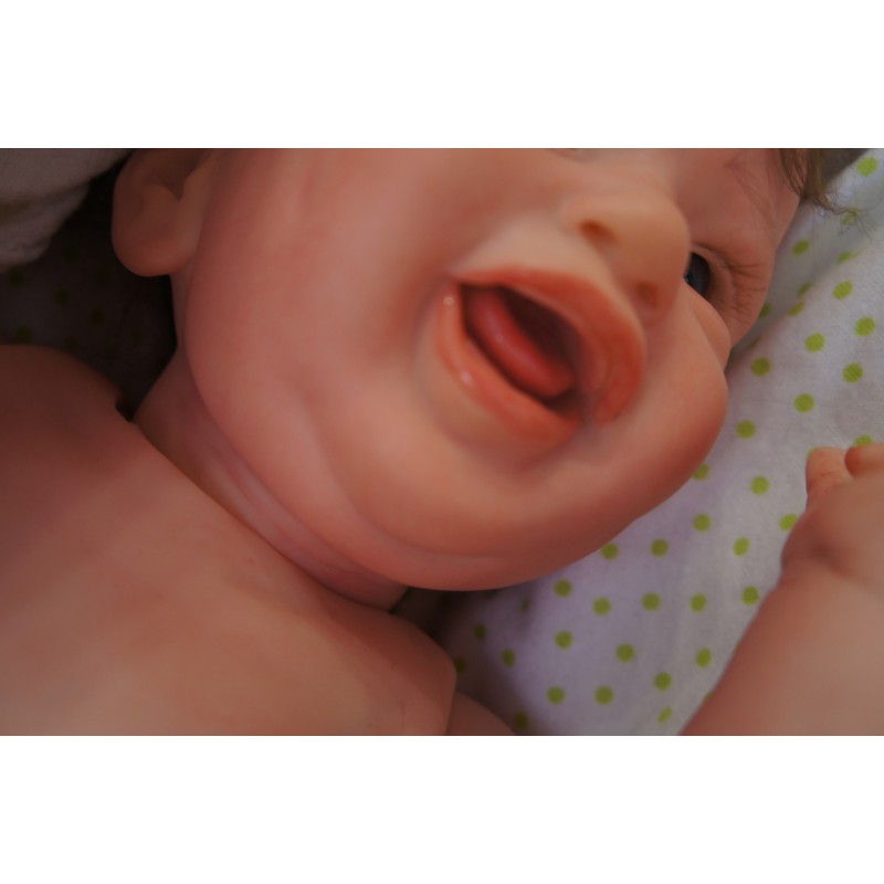 Rocky - Inkl. 3/4 Torso *Einzelstück*