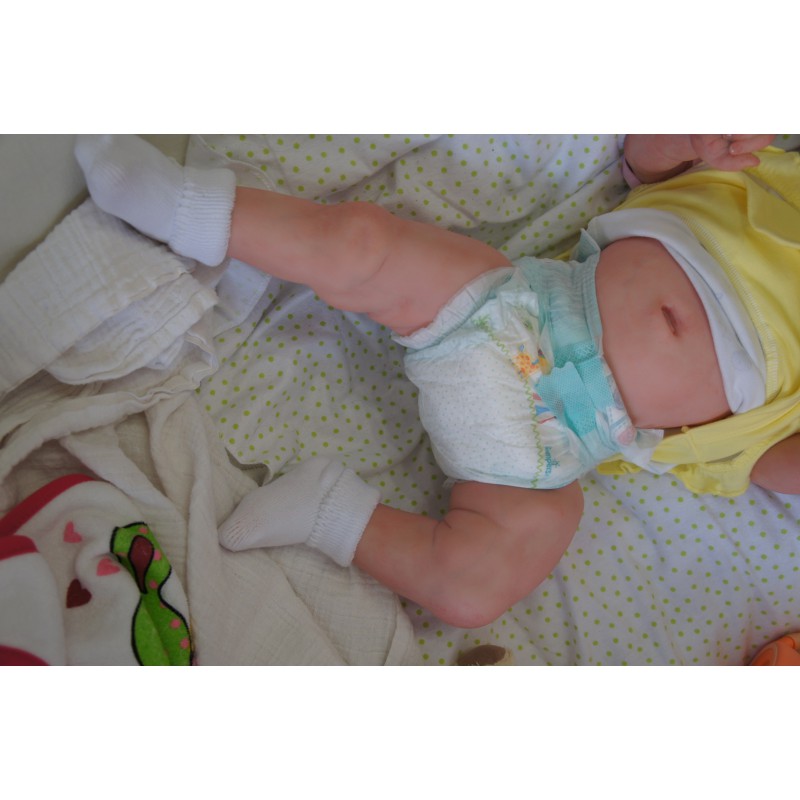 Rocky - Inkl. 3/4 Torso *Einzelstück*