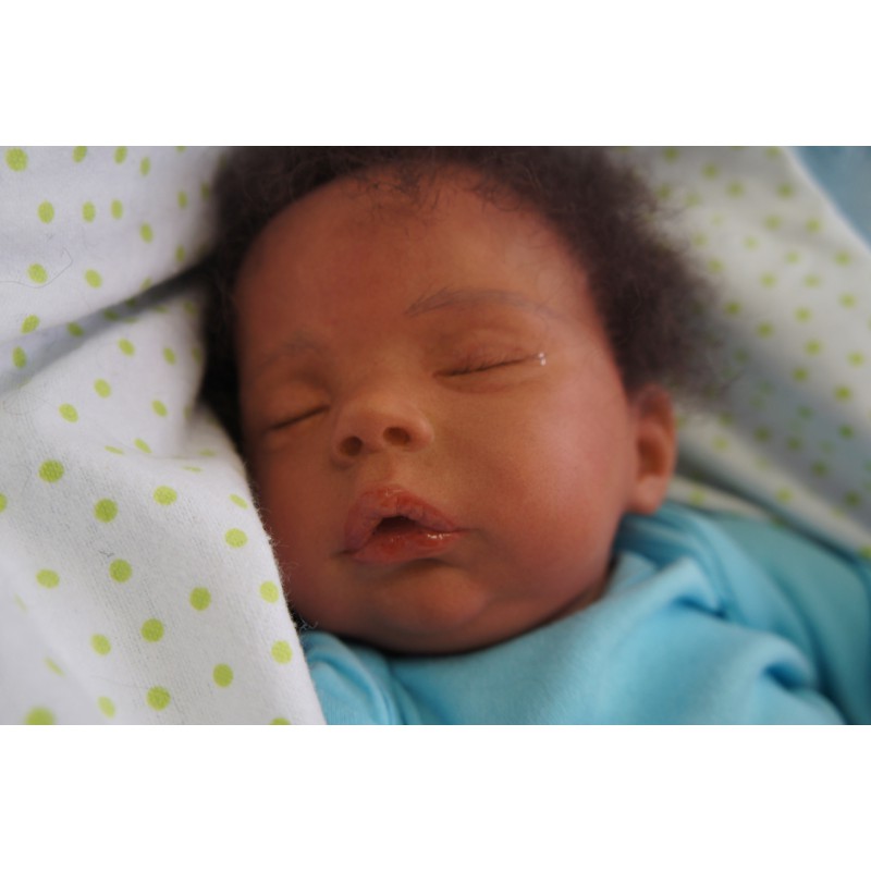 Haley inkl. Bauchplatte *Einzelstück*