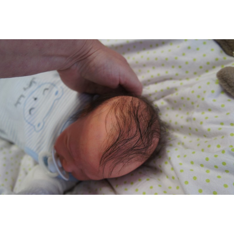 Leonor inkl. Bauchplatte *Einzelstück*