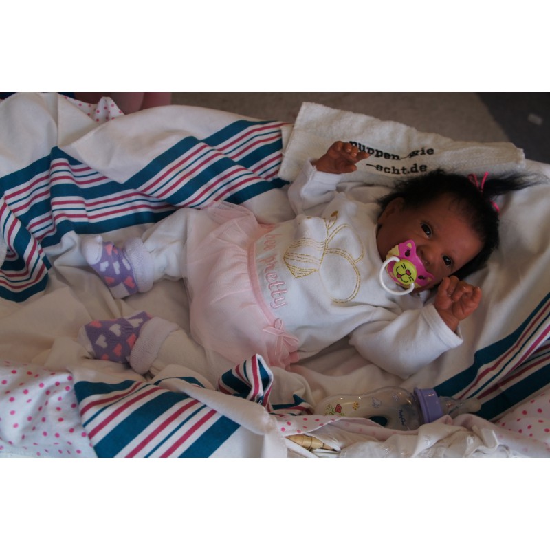 Ginger Inkl. Volltorso