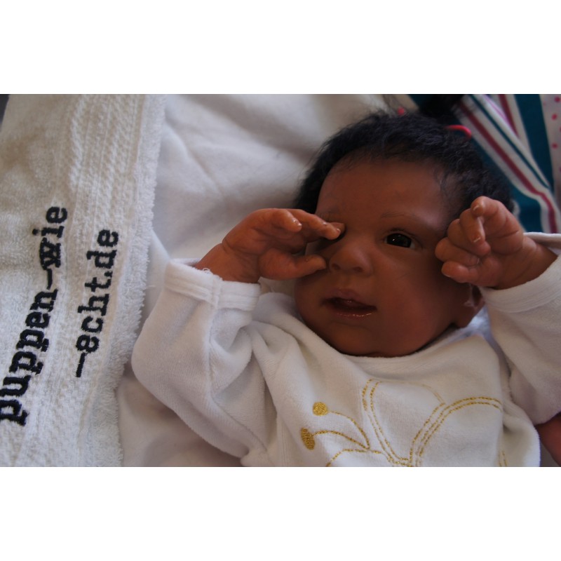 Ginger Inkl. Volltorso