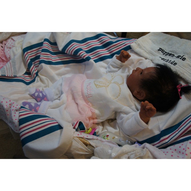 Ginger Inkl. Volltorso