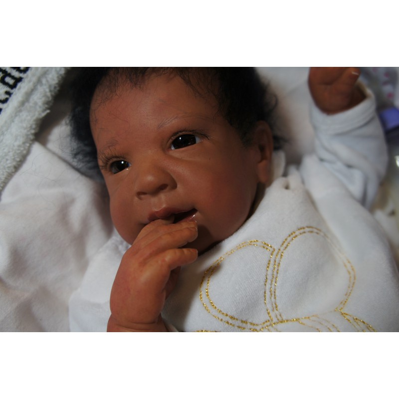 Ginger Inkl. Volltorso