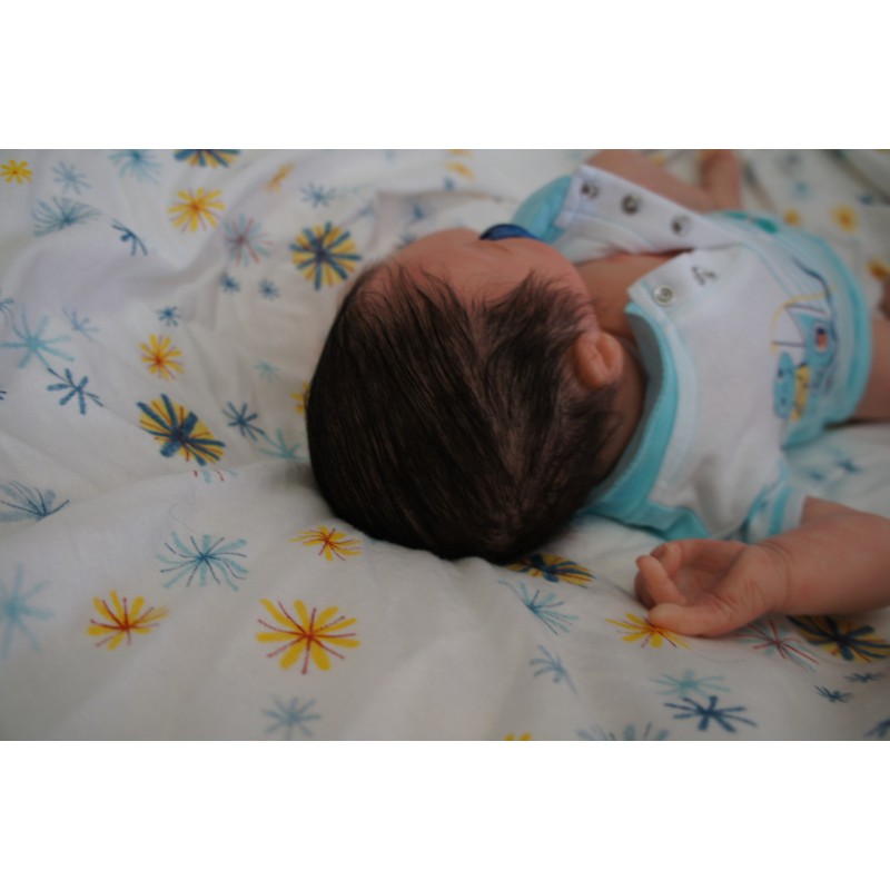 Ethan *Einzelstück*