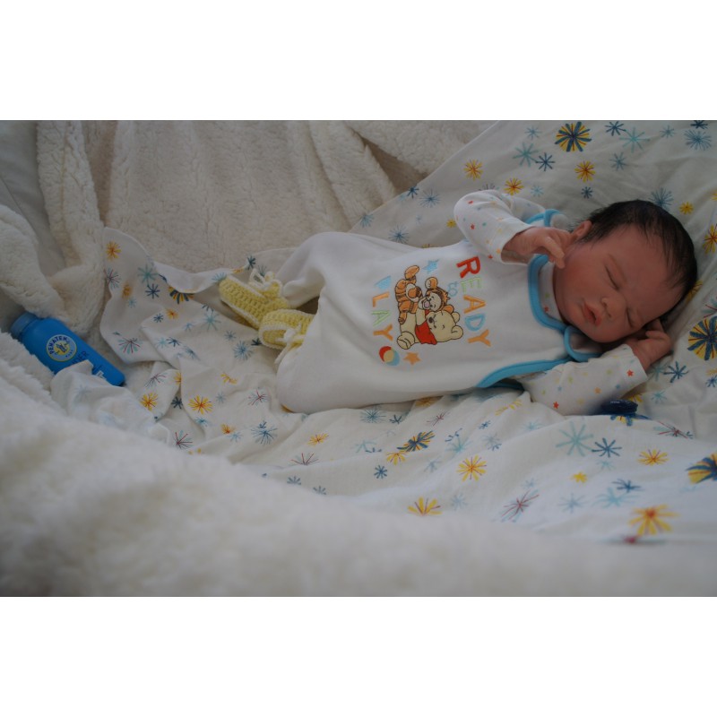 Ethan *Einzelstück*