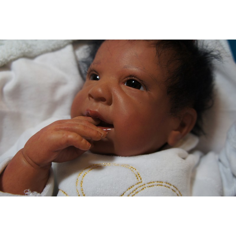 Ginger Inkl. Volltorso