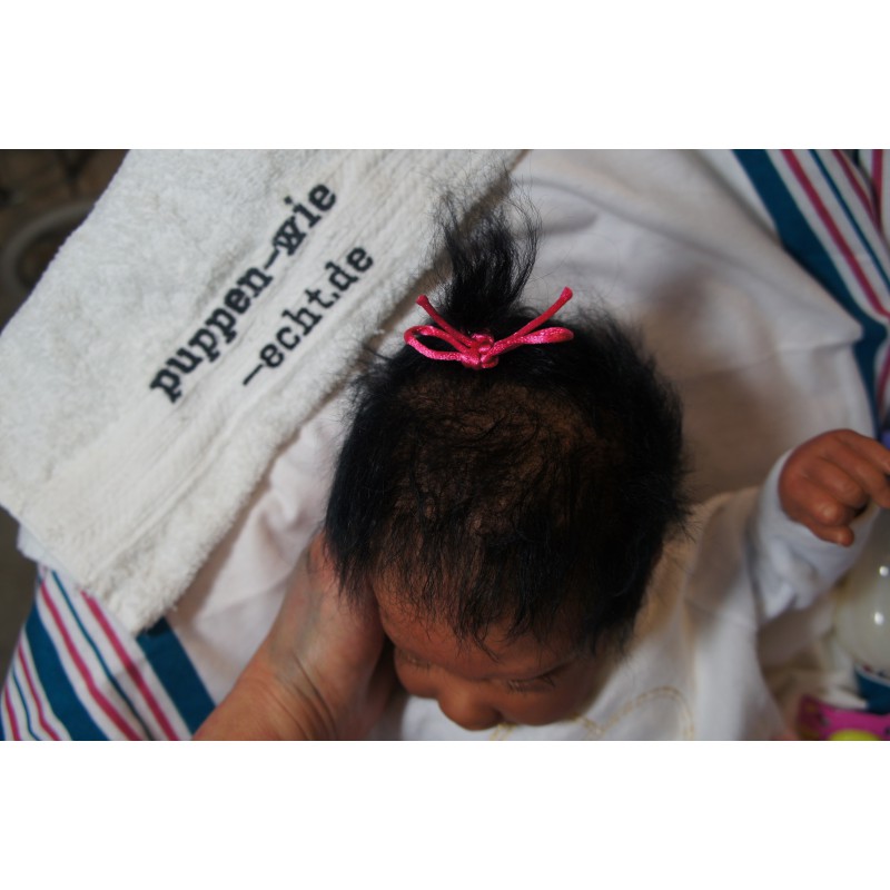 Ginger Inkl. Volltorso