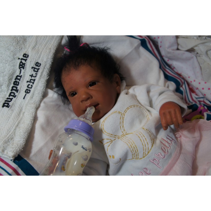 Ginger Inkl. Volltorso