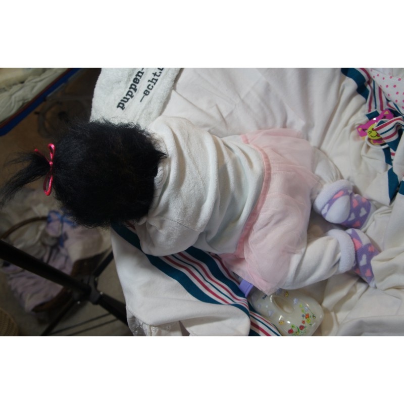 Ginger Inkl. Volltorso