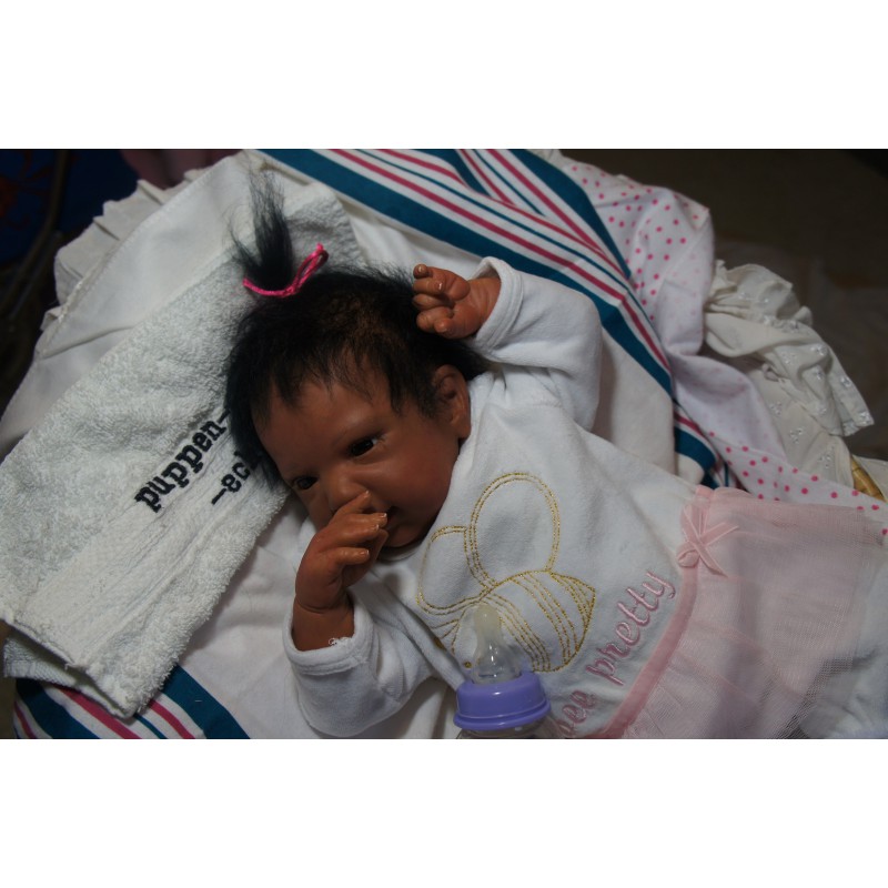 Ginger Inkl. Volltorso