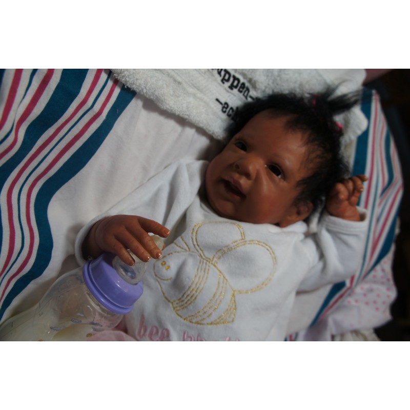 Ginger Inkl. Volltorso