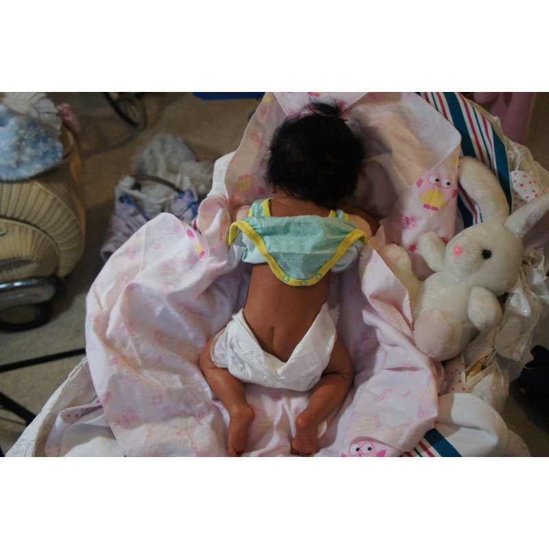 Ginger Inkl. Volltorso