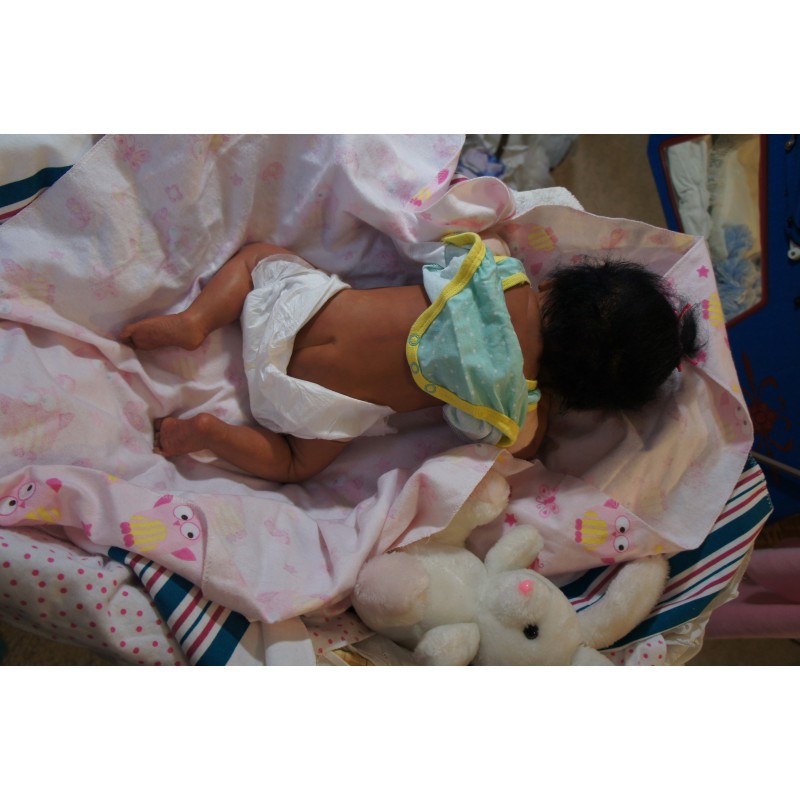 Ginger Inkl. Volltorso