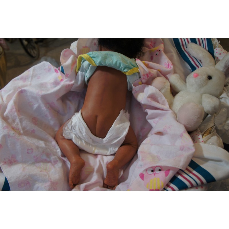 Ginger Inkl. Volltorso