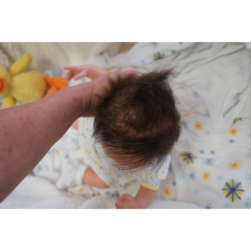 Frieda *Einzelstück*