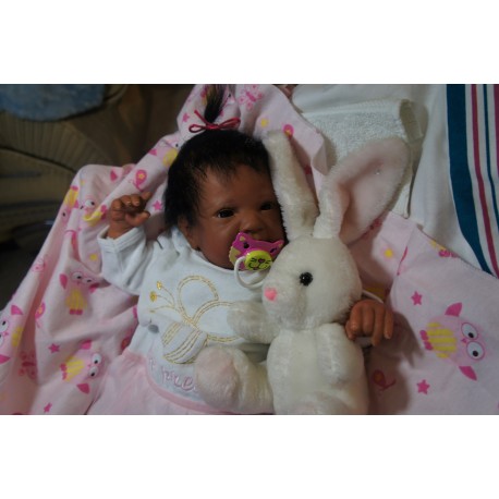 Ginger Inkl. Volltorso