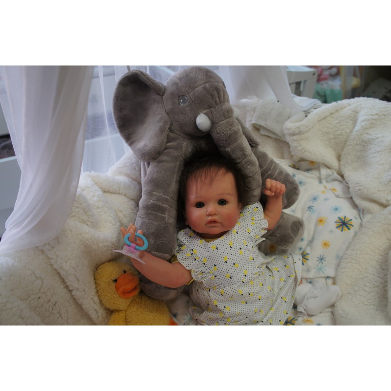 Frieda *Einzelstück*