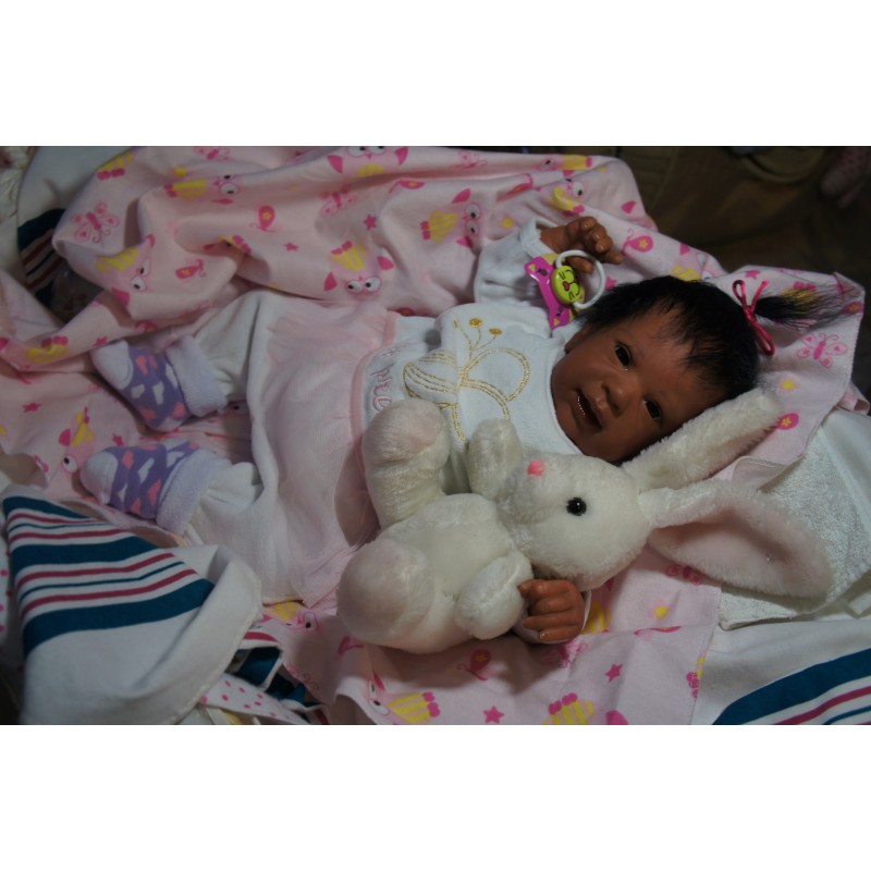 Ginger Inkl. Volltorso