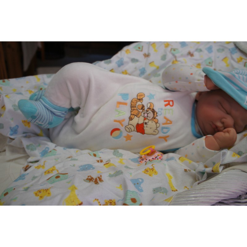 Kai *Inkl. Bauchplatte*