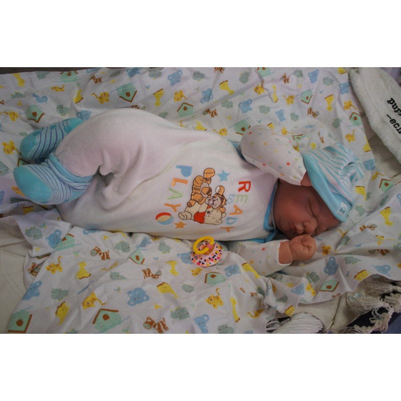 Kai *Inkl. Bauchplatte*