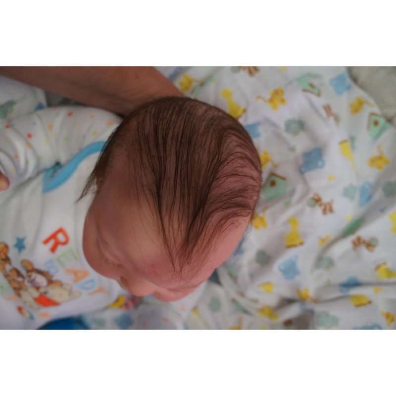 Kai *Inkl. Bauchplatte*