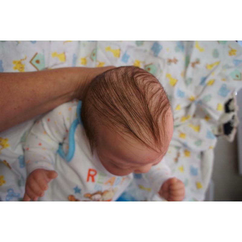 Kai *Inkl. Bauchplatte*