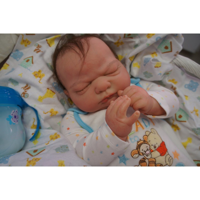 Kai *Inkl. Bauchplatte*