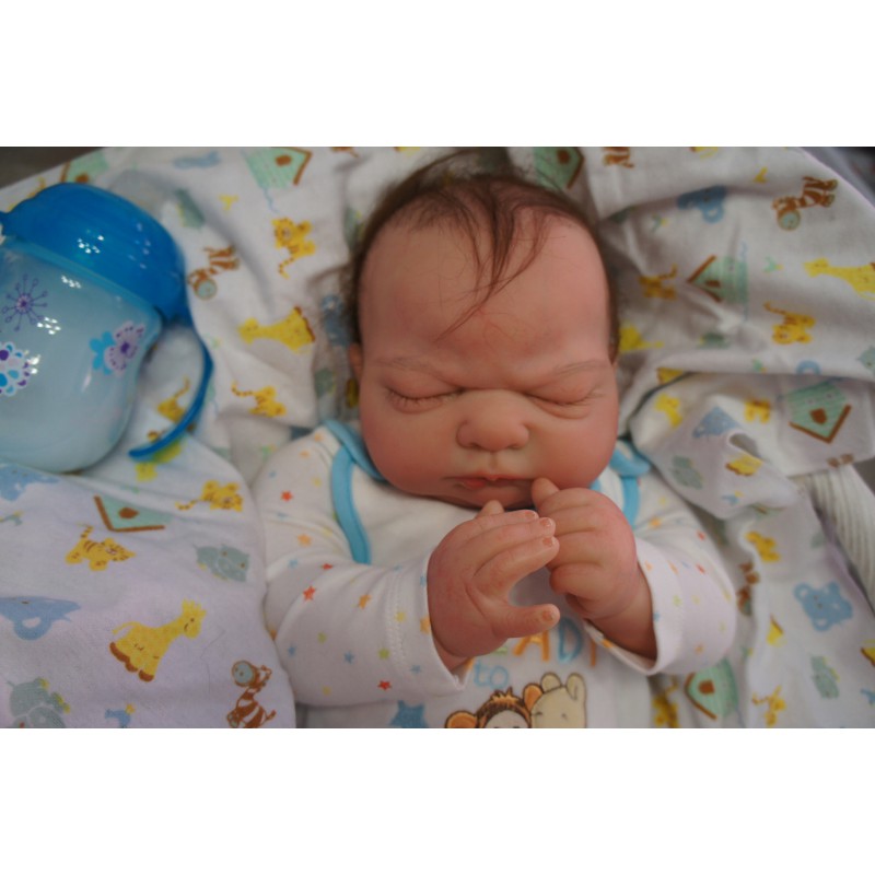 Kai *Inkl. Bauchplatte*