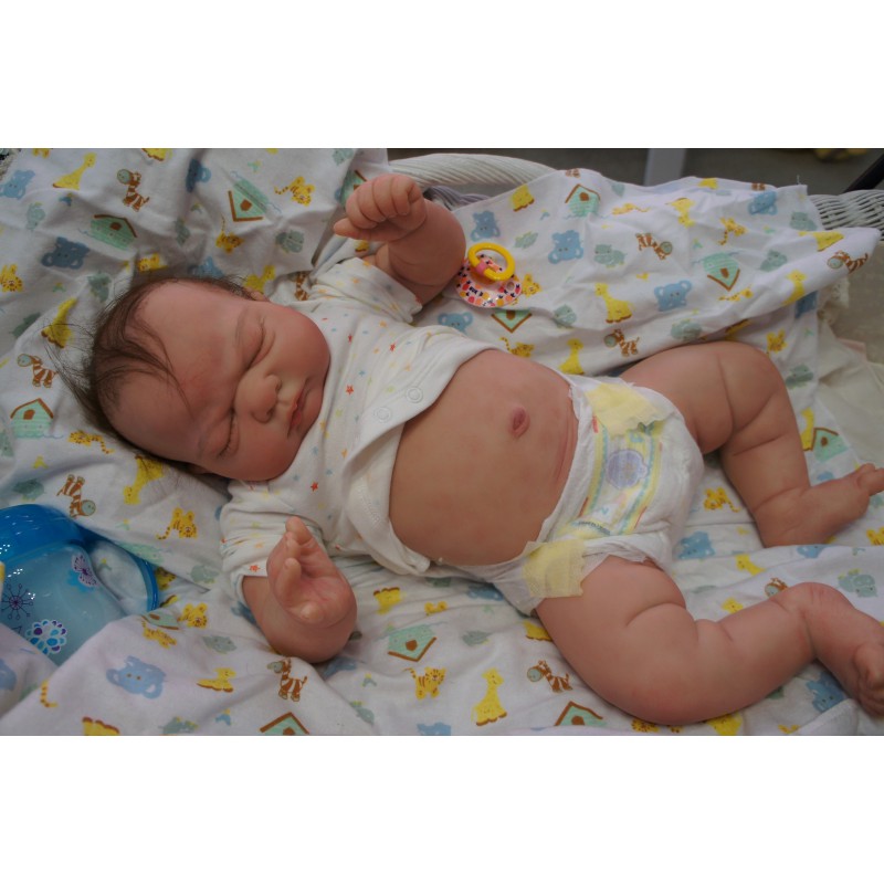 Kai *Inkl. Bauchplatte*