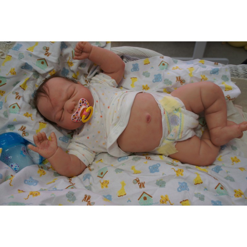 Kai *Inkl. Bauchplatte*